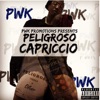 The Peligroso Capriccio Project