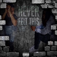 Never Felt This Way (feat. Trust) - Single - PMG Flex