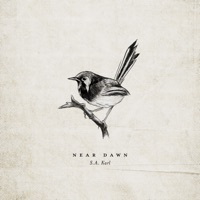 Wren