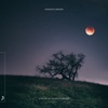 Foggy August cover art
