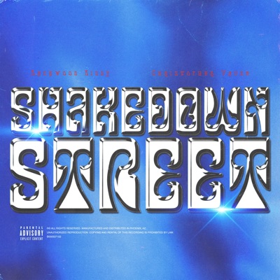 Shakedown Street (feat. Christopher Vause) - Single