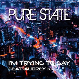 I'm Trying to Say (Extended club mix) [feat. Audrey K] Pure State