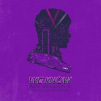 We Know (feat. Asel Collins & Yung Naik) - Single - Eazy Dola & Icey M