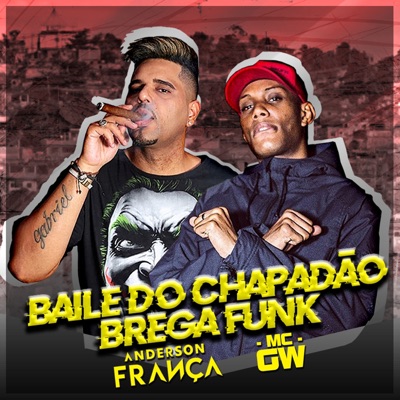 Baile do Chapadão (Brega Funk) - Single