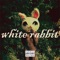White Rabbit - PJ Lucid lyrics