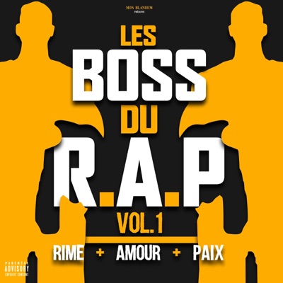 LES BOSS DU RAP, VOL1