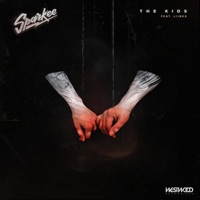 The Kids feat. LIINKS - Single - Sparkee