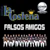 Falsos Amigos
