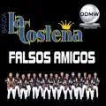 Falsos Amigos