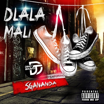 Dlala Mali (feat. Sgananda) - Single