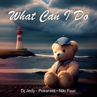 What Can I Do - Single - DJ JEDY, Pokaraet & Niki Four