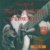 Maestros de la Guitarra Flamenca, Vol. 5 artwork