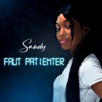 Faut patienter - Single - Sandy