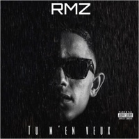 Tu m'en veux (feat. BBK) - Single - RMZ