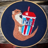 PolySure (feat. Ruckus Roboticus) - Single - Jesse Dangerously