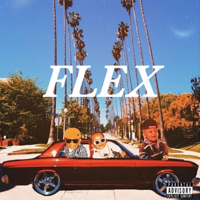Flex - Single