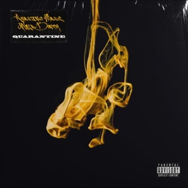 Quarantine (feat. Wyld Bunch) AMAZING MAZE