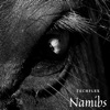 Namíbs - Single