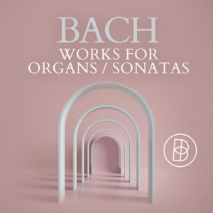 Bach: Works for Organs / Sonatas