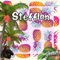 Stefflon - Jerrih lyrics