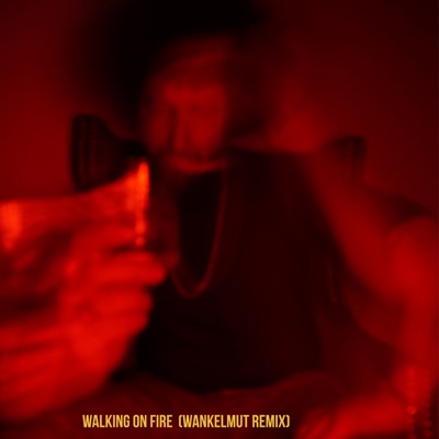 Walking on Fire (Wankelmut Remix) - Single