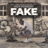 Fake - Single