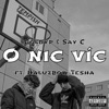 O Nic Víc (feat. Say C, haluzboy. & Tesha) - Single