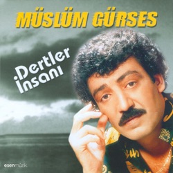 Düştün Gözümden