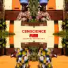 Stream & download Conscience (feat. Vieux Farka Touré & Amy D) - Single