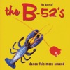 Claire B Planet Claire Dance this Mess Around (The Best of the B-52's)