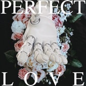 perfect love artwork