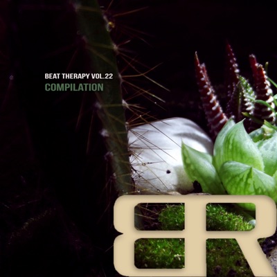 Beat Therapy Vol.22 Compilation