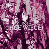 Chcę więcej (prod. ShaKu Beats) - Single - ZUSJE