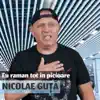 Nicolae Guță - Eu Raman Tot In Picioare