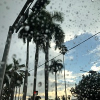 On My Mind - Single - Bloccboi Dutchman