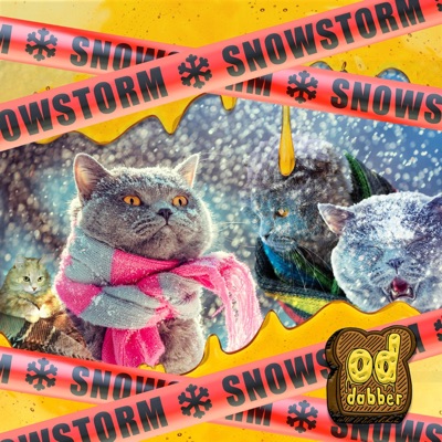 Snowstorm - Single