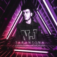 Semtim Dikmen - Single - Tarantuna