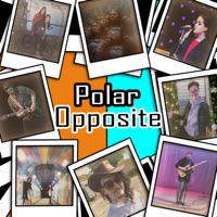 Various Artists - Polar Opposite artwork