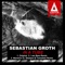 In a Tube (Niereich vs. Shadym & Tximeleta Remix) - Sebastian Groth lyrics
