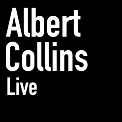 Albert Collins (Live) - Albert Collins