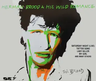 ladda ner album Herman Brood & His Wild Romance - Herman Brood His Wild Romance