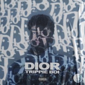 Dior artwork