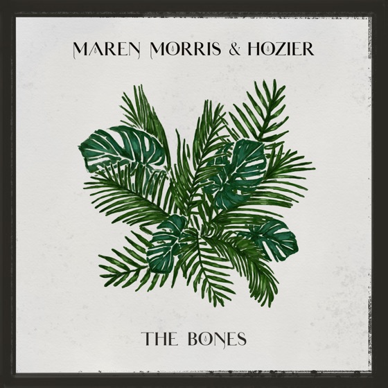 Cover artwork for The Bones