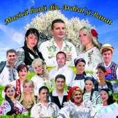 Muzică Bună Din Ardeal Și Banat artwork