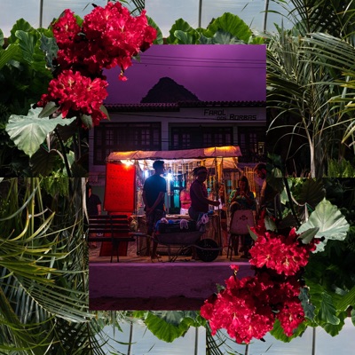 Fantasia Tropical - Single