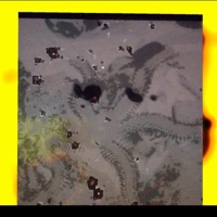 Horizontal Loop / Hatahata - Single - Fetus