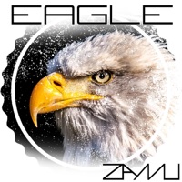 Eagle - Single - Zamu