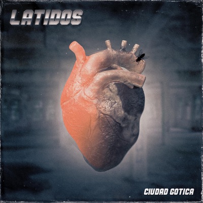 LATIDOS