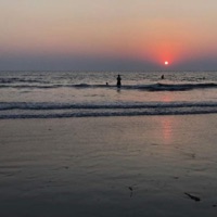 Down to the Sea (feat. Lizardtraphaus & Roshan Pathre) - Single - Ro-Shan