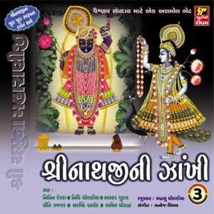 Shrinathji Ni Zakhi - Part 3